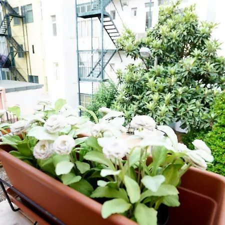 Apartamento Catchy @ Campo Pequeno